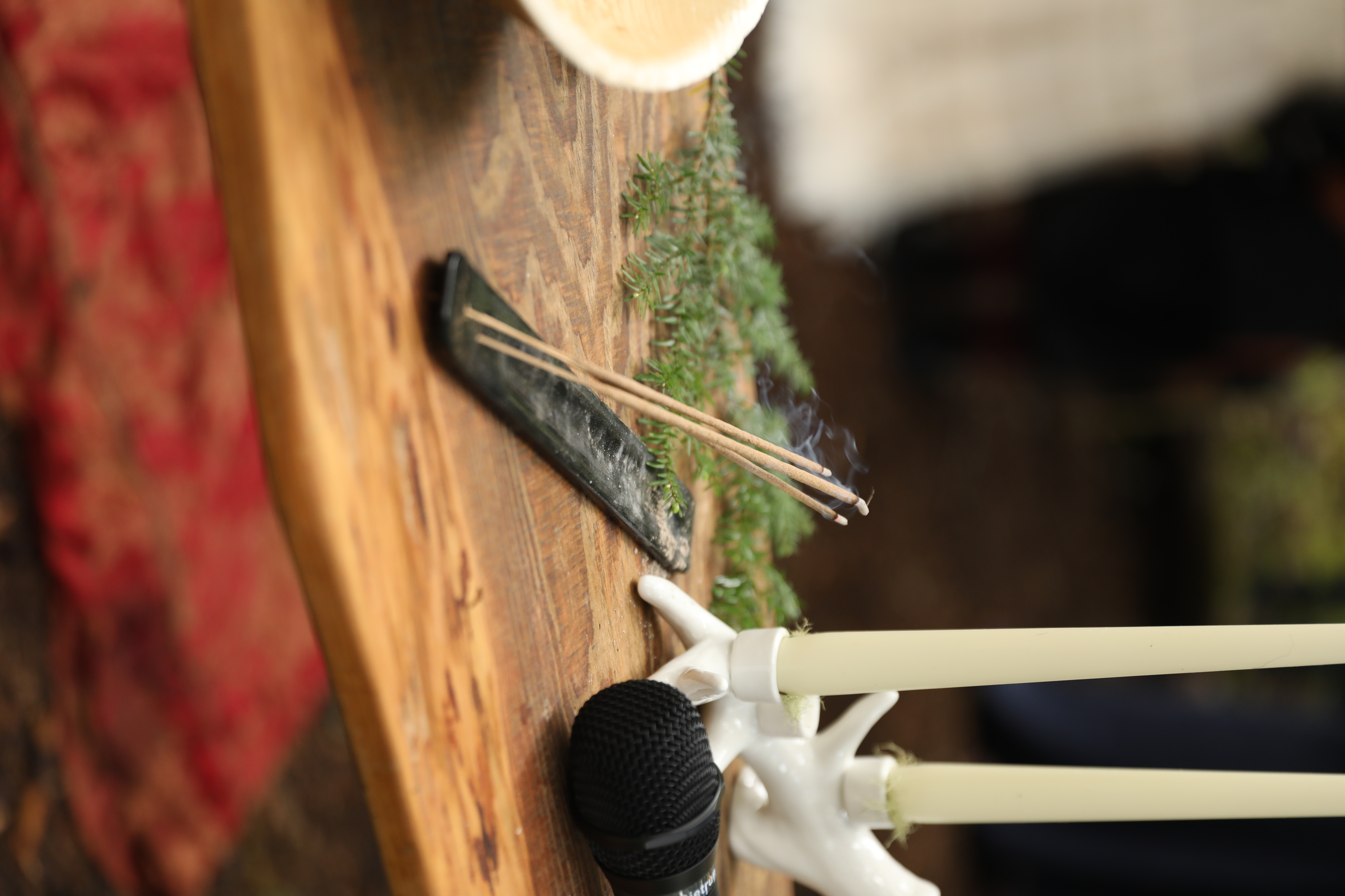 Ricky Del Vecchio and Mckenzee Bowles Wedding Photos