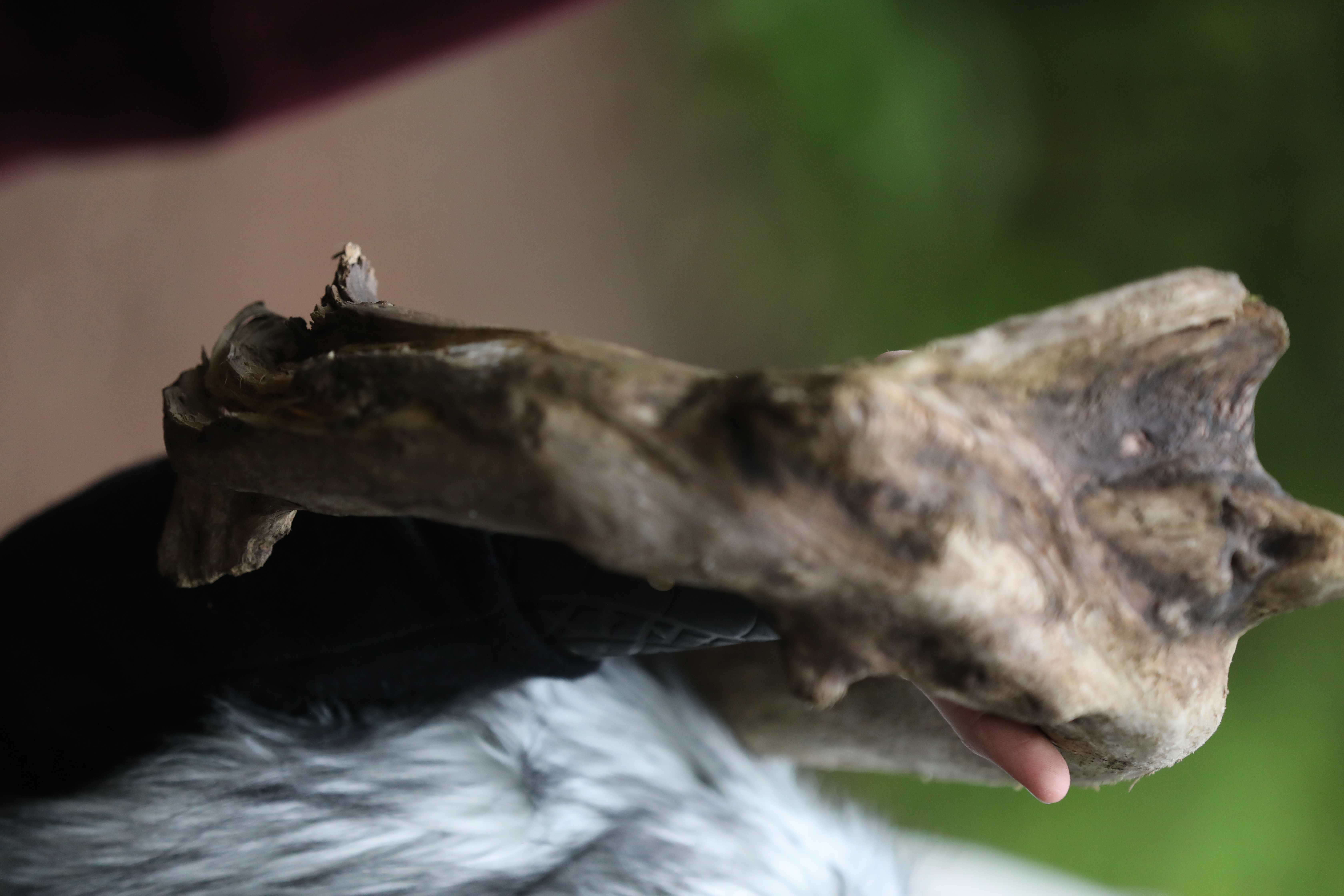 Ricky Del Vecchio and Mckenzee Bowles Wedding Photos