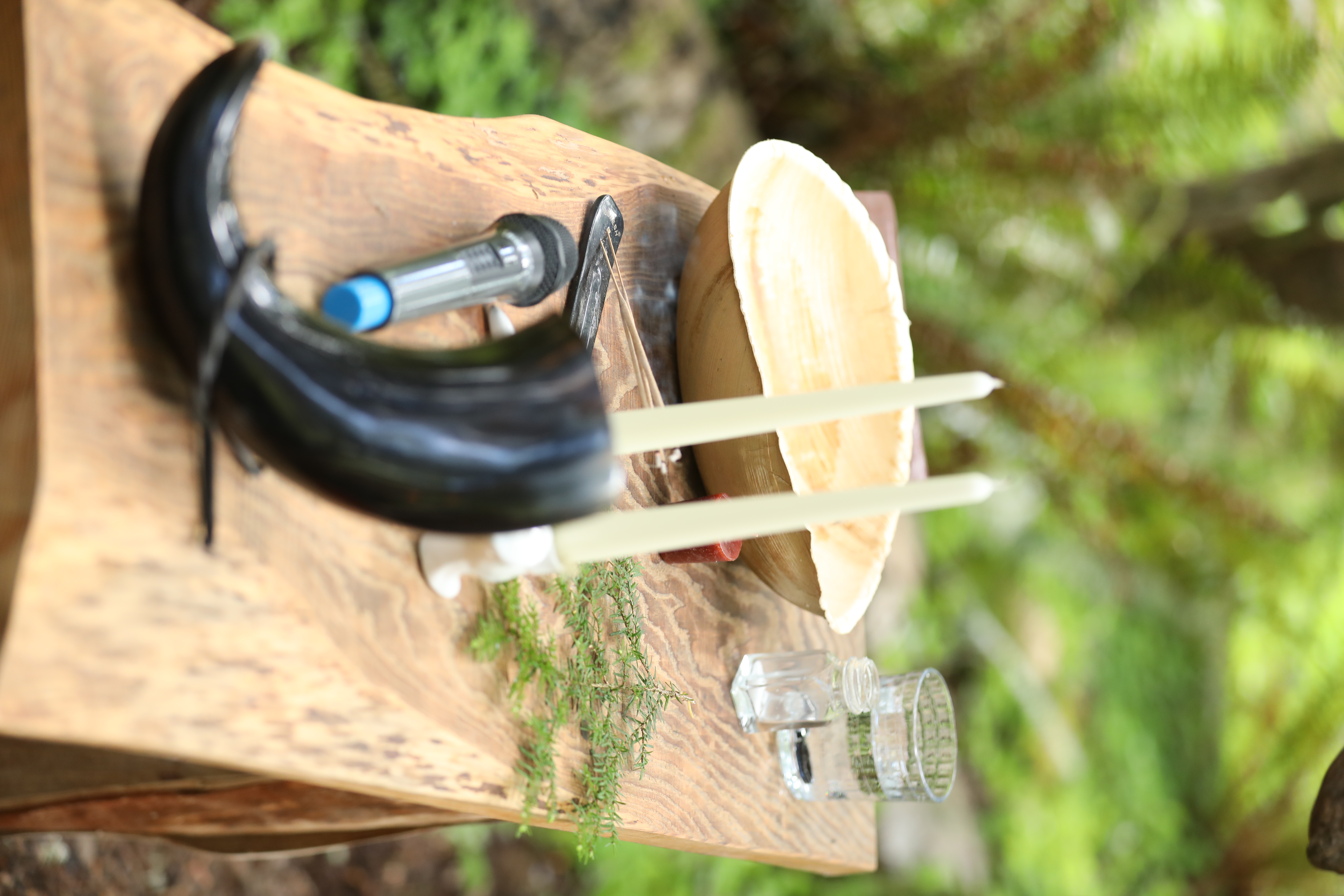 Ricky Del Vecchio and Mckenzee Bowles Wedding Photos