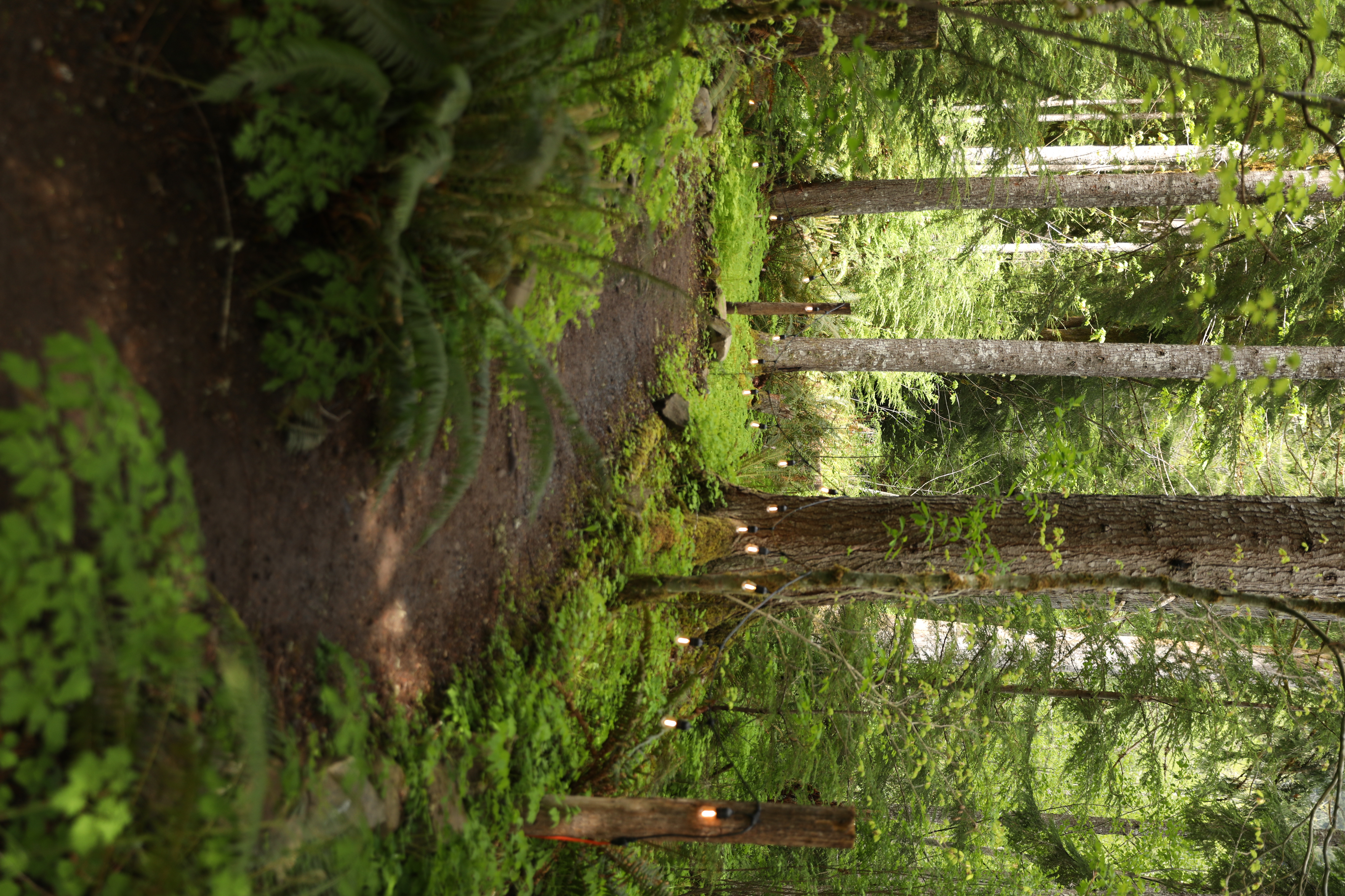 Ricky Del Vecchio and Mckenzee Bowles Wedding Photos