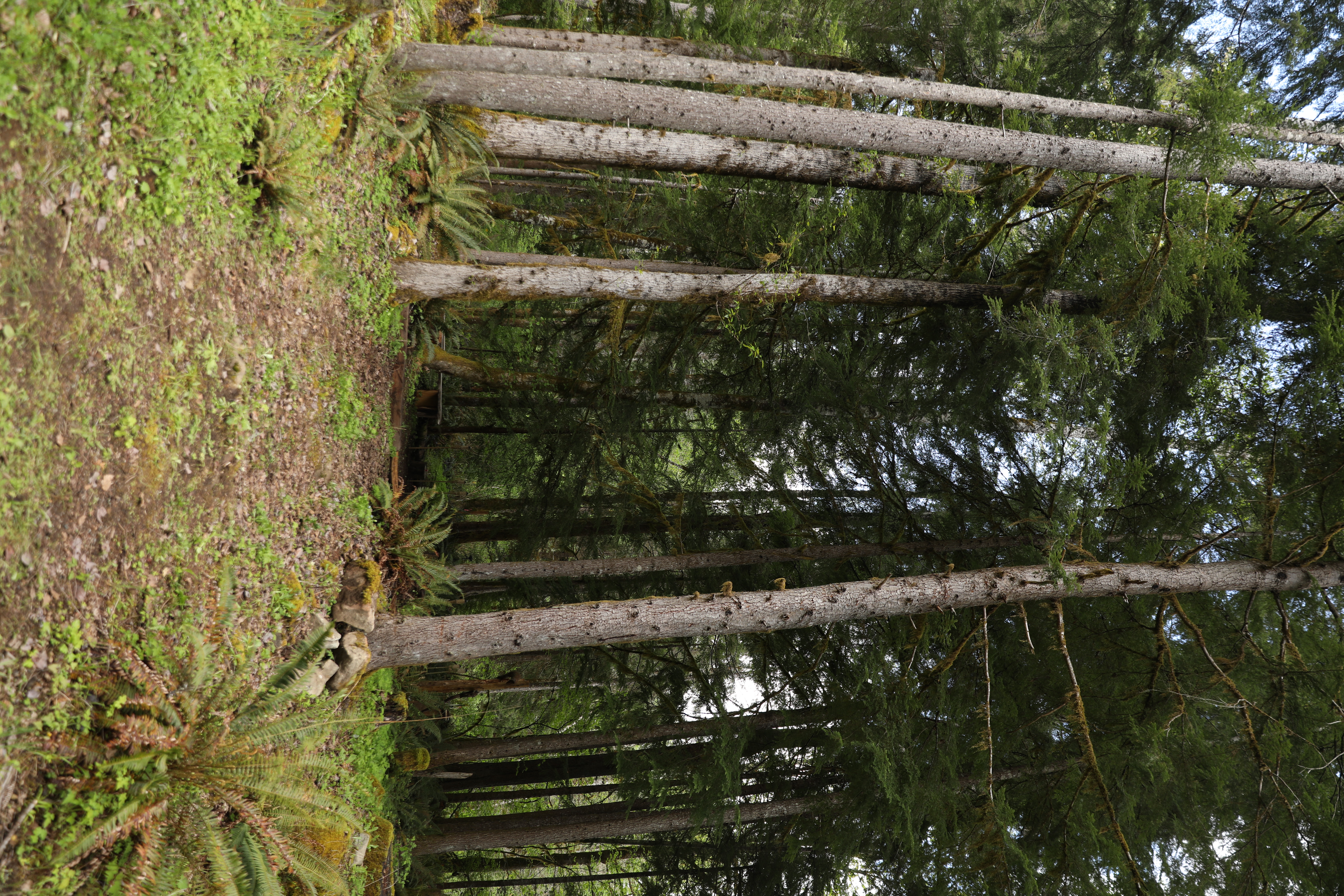 Ricky Del Vecchio and Mckenzee Bowles Wedding Photos